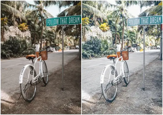 Bali Green Tone Free Preset