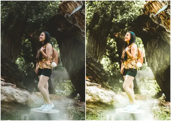 Warm Tone Free Preset Dng