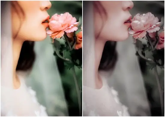 Chocolate Grey Tone Lightroom Presets