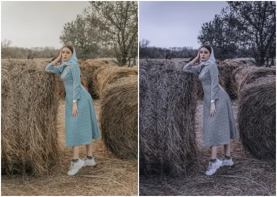 Dark Grey Tone Lightroom Presets Dng