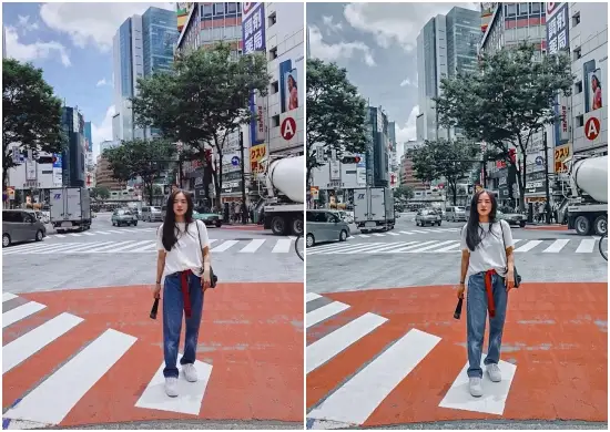 Gray Tone best Lightroom Presets Download