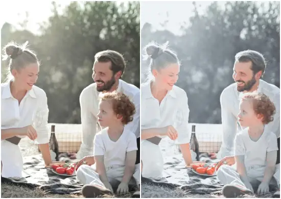 White and Grey Tone Presets Free