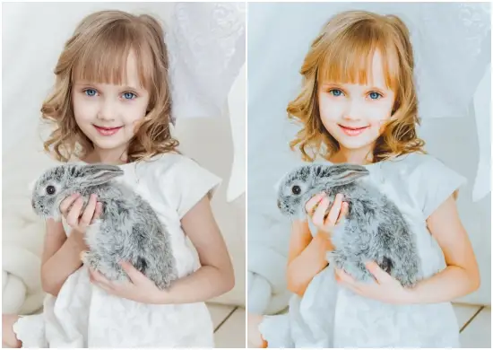 Gray tones Preset Dng Download