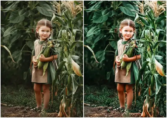 Free Download HDR Kids Portraits Preset For Lightroom