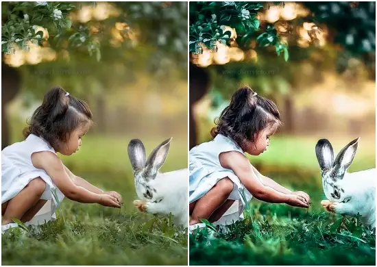 Download Free HDR Portrait Kids Preset