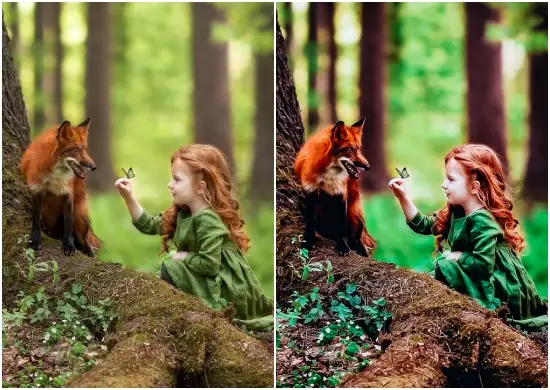 Instagram HDR Portrait Mobile Preset