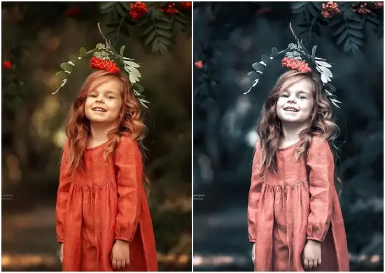 Download Free HDR Dark Moody Lightroom Preset