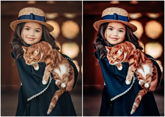 HDR Warm Tone Lightroom Preset