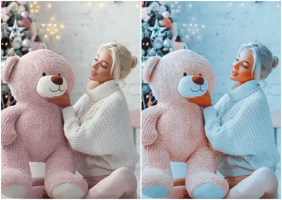 Moody Holiday Christmas Preset