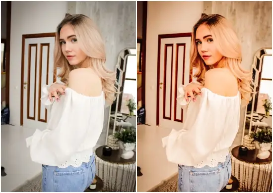 Free Influencer Presets Dng Preset