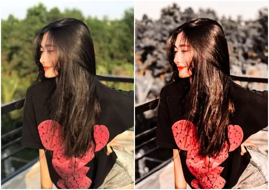 Free Influencer Lightroom Presets & LUTs