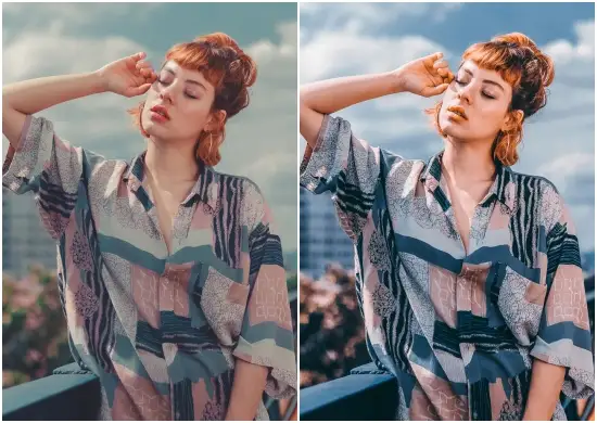 Insta Bloggers Moody Preset