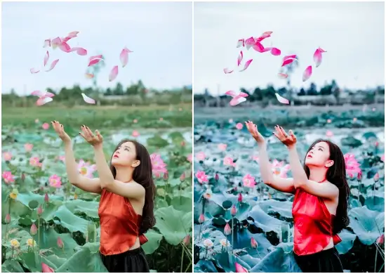 Insta Blue Tone Lightroom Preset