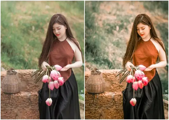 Blogger Warm Tone Lightroom Preset