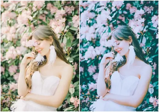 Download Free Influencer Bloggers Mobile Presets