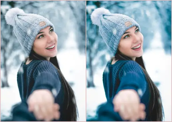 Dng Winter Blogger Collection Preset