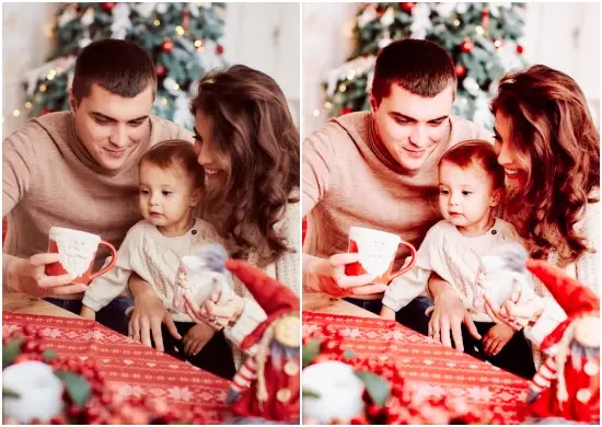 Download Family Christmas Presets