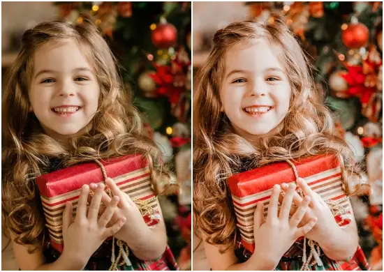 Merry Xmas Holiday Preset