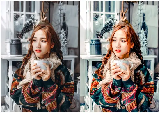 Instagram Blogger Christmas Filter Dng