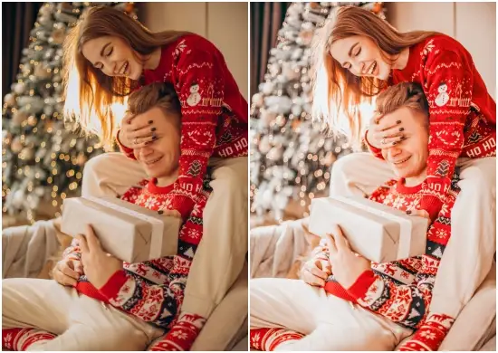 Download New Year Preset Mobile Dng