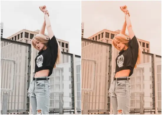 Jombla Lightroom Presets DNG Free