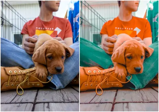 Free Download Jombla Lightroom Presets