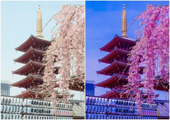 Download Free Korean Style Lightroom Presets