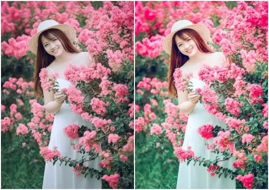 Korean lightroom presets free