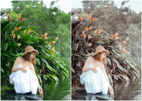 Korean Preset Lightroom Free Download