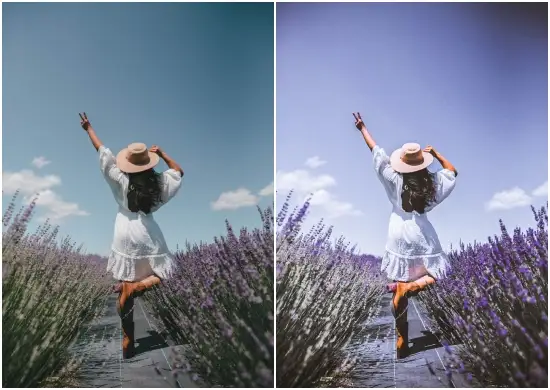 Lavender Premium Lightroom Presets