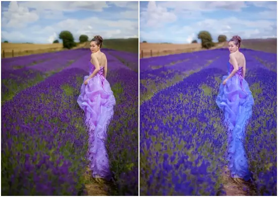 Lavender Photography Preset