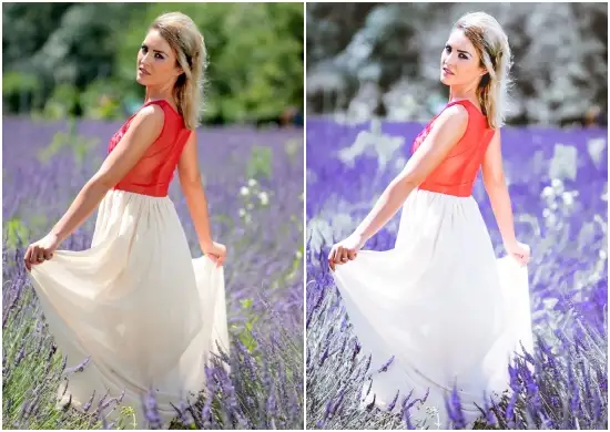 Lavender Preset Free Download