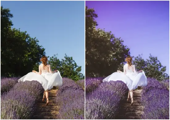 Lavender Aesthetic Lightroom Preset Collection