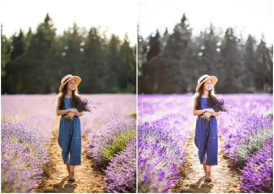 Lavender Preset Lightroom Free Dng