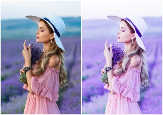 Instagram Blogger Preset Lavender