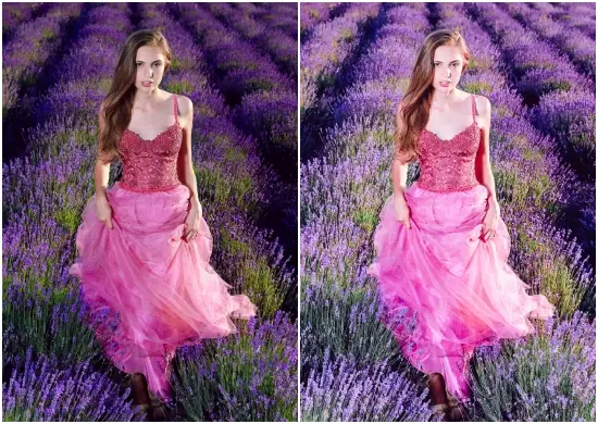 Free Lightroom Preset Lavender