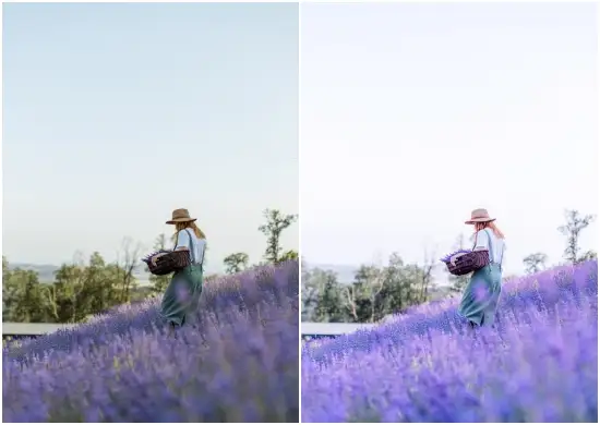 Aerial Lavender Mobile Lightroom Preset