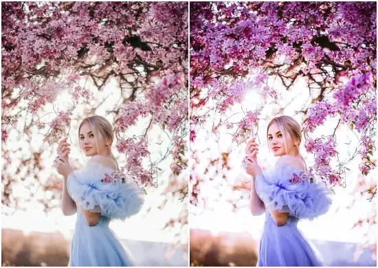 Lavender Purple Lightroom Presets