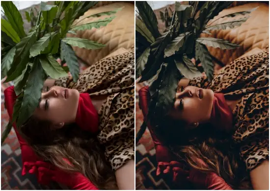 Lifestyle Model Preset