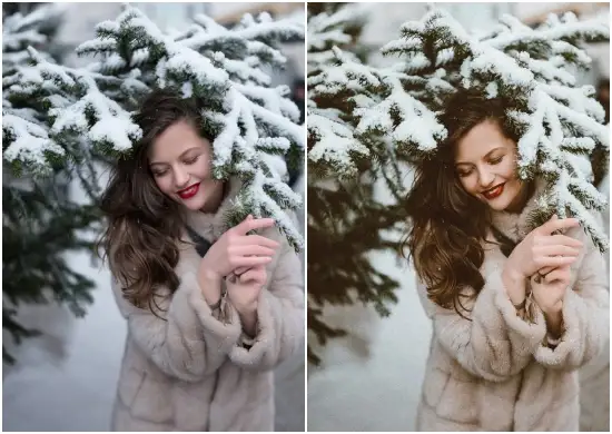 Free Winter Mobile Preset