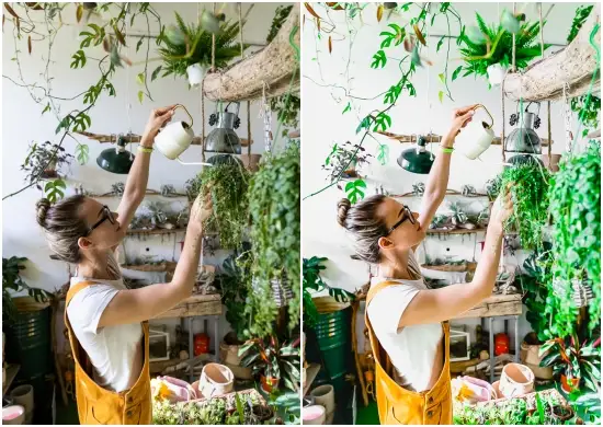 Download Free Lifestyles Green Lightroom Preset