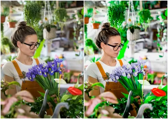 Lifestyles Blogger Free Preset Dng