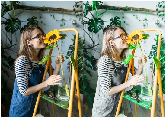 Download Free Dng Lush Green Preset