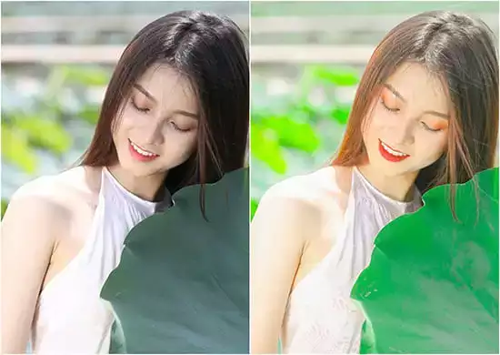 A Glimpse Of Lotus Pond