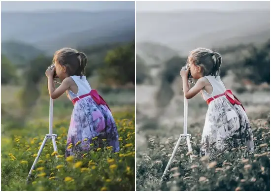 Minimal White Photography Preset