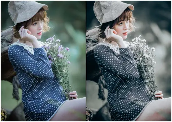 Free Download Minimalistic White Gray Tone Presets