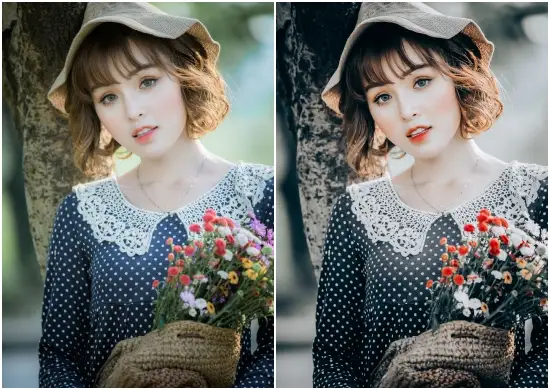 Minimalistic Blogger Lightroom Preset Free Download