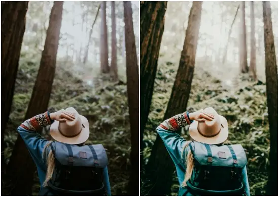 Travel Nomad Fair Mobile Free Preset