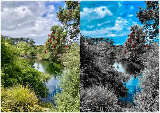 Nordic Gray And Blue Tone Free Dng Preset