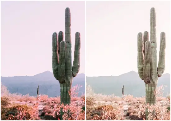 Lightroom Nude Presets for Mobile